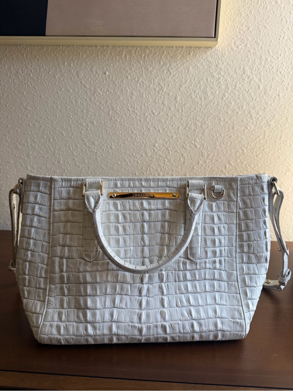 Brahmin Bag